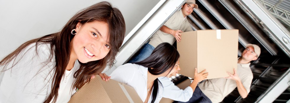 Professional Removalists Mount Britton